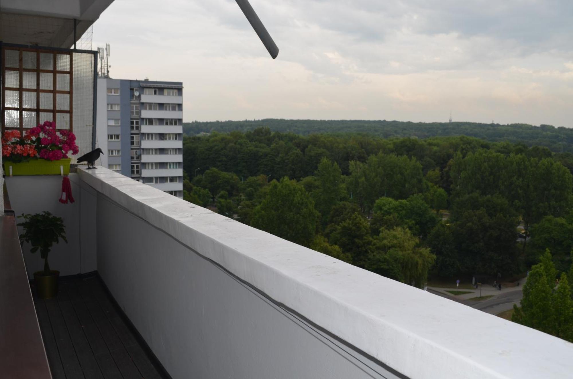 Apartment Silesia Park - Free Parking - Easy Check-In Katoviçe Dış mekan fotoğraf